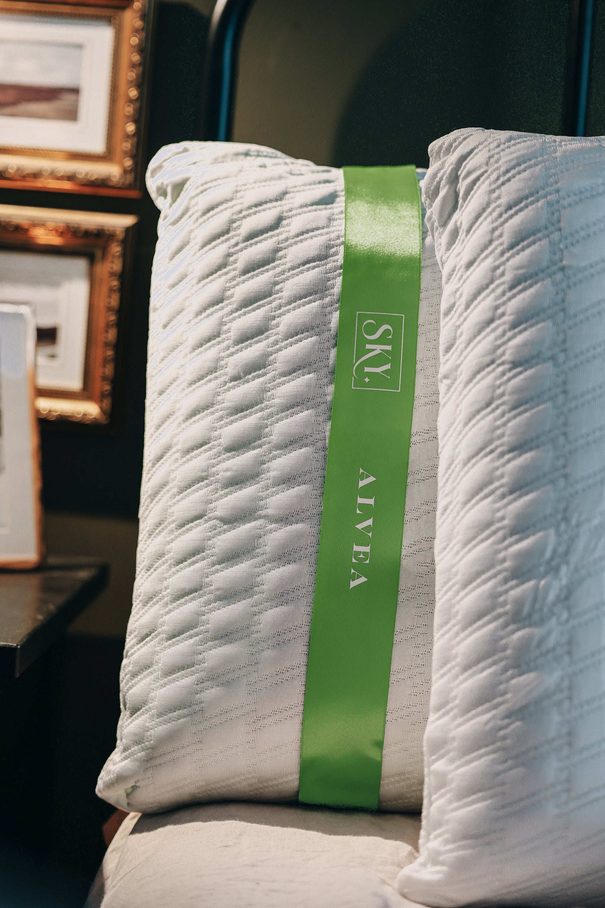 sky sleep mieux dormir oreiller alvea  housse confort