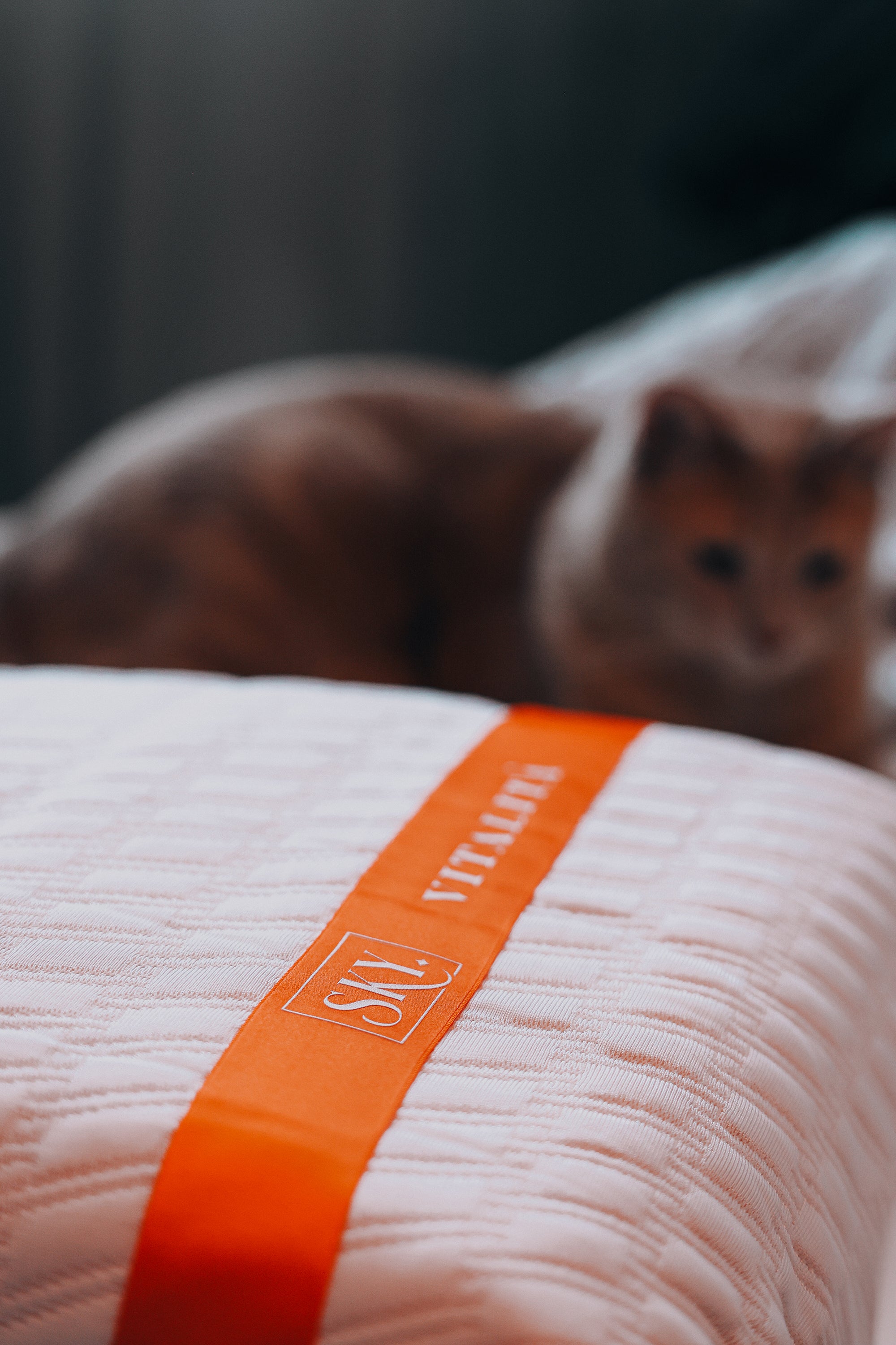 sky sleep mieux dormir oreiller vitalita